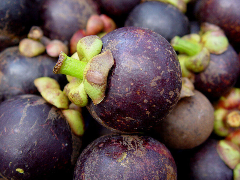 Trik Membuka Buah Manggis Dalam 5 Detik (with pic)