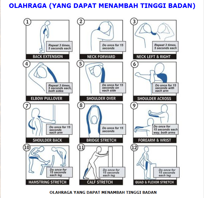 Olahraga simple yang dapat menambah tinggi badan (masup)