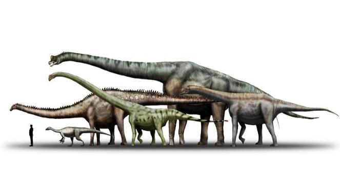 Teka-Teki Leher Panjang Dinosaurus Terungkap