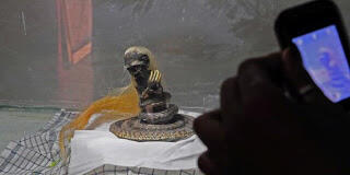 Heboh, Ular Berkepala Manusia di Pamekasan