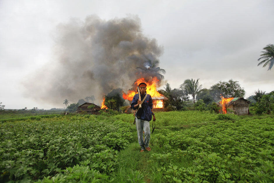 Best photos of the year 2012 