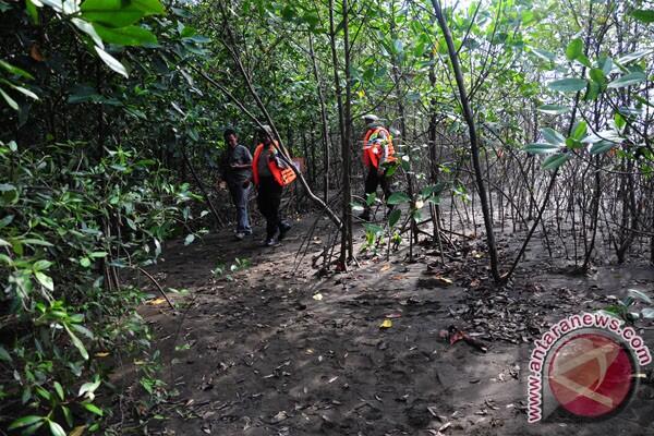  75 persen mangrove Asia Tenggara ada di Indonesia