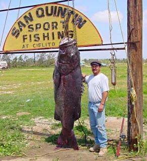 7 Tangkapan Ikan Terbesar di Dunia + Pic