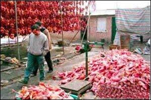 Sumpah Gan Sadis Dan Kejam Banget Penyajian Makanan Ini...