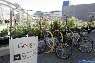 (KEREN GAN) Googleplex, MABESnya Google.inc