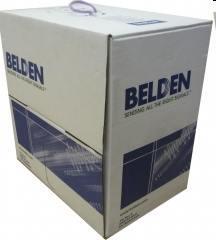 Kabel UTP Belden