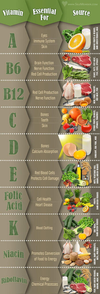 &#91;INFO&#93; NUTRISI INFO GRAPHIC