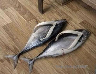sendal terbaru gan