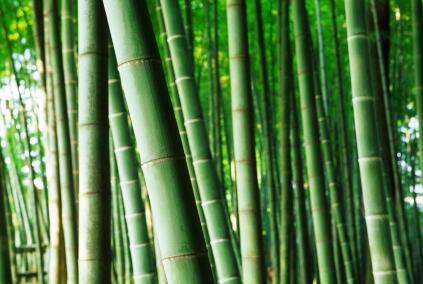 Serat Bambu, Revolusi ke Lima di Bidang Teknologi Tekstil