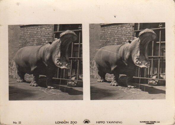 Foto-Foto Jadul yang Dijadikan 3D 