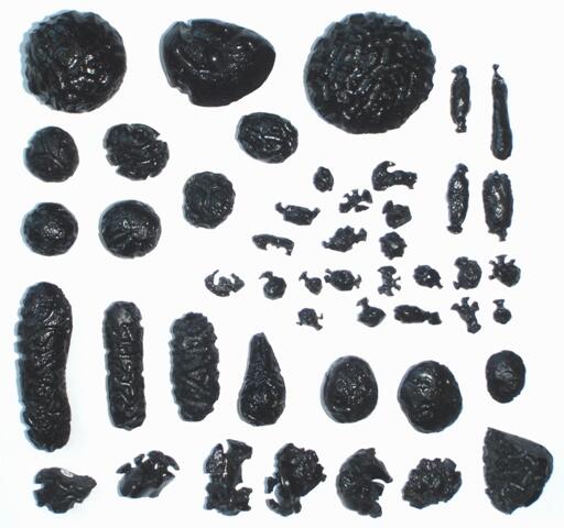 Batu Satam, Batu Berumur Jutaan Tahun yang Hanya Ada di Indonesia 