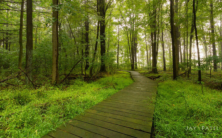 (Full pict) Landscape Taman di Amerika 