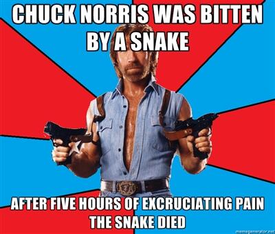 Chuck Norris come back !