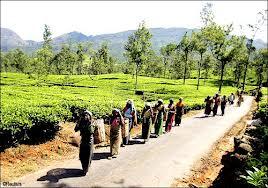 sebuah negara dengan nama srilanka