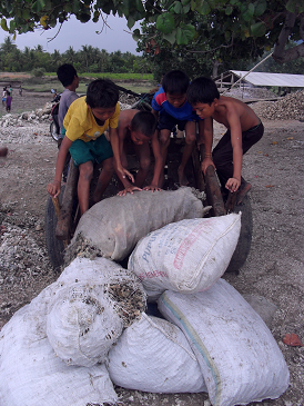 FOTO-FOTO RUSAKNYA TERUMBU KARANG KARENA MANUSIA