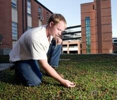 Green Roof, Taman-taman Hijau di atas Atap Bangunan 