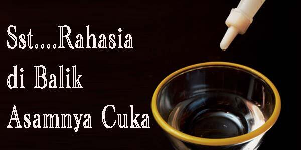 9 Kegunaan lain dari cuka (masukkk gan)