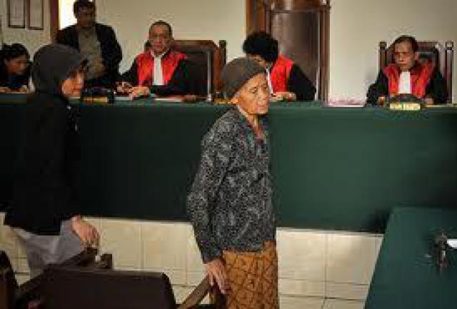 KASUS NENEK CURI SINGKONG