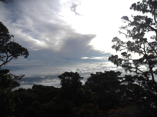 from Jogja to Mt.Dempo,South Sumatera