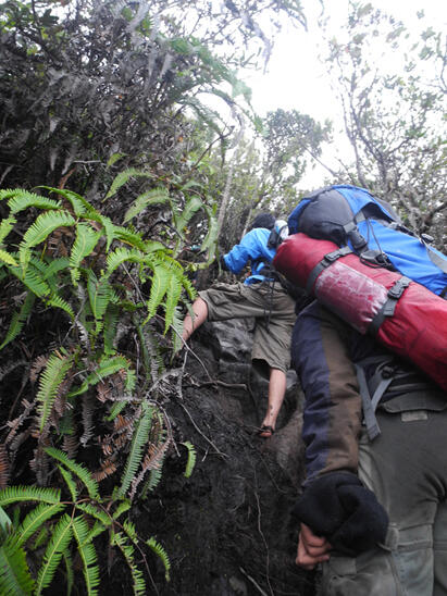 from Jogja to Mt.Dempo,South Sumatera