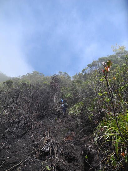 from Jogja to Mt.Dempo,South Sumatera