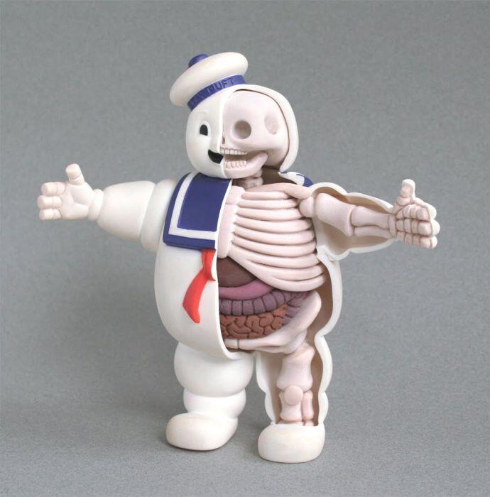 Mainan aneh komplit dengan anatomi tubuh