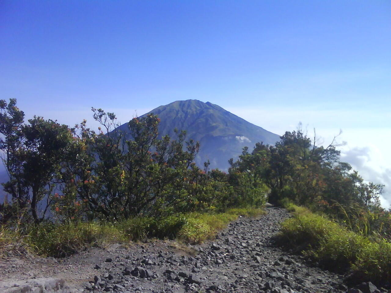 PENDAKIAN PERTAMAKU, MERAPI VIA SELO