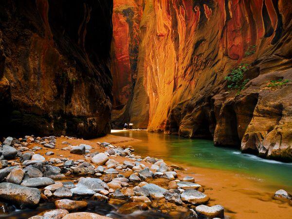 Taman Nasional Zion, Ngarai Cantik di Amerika