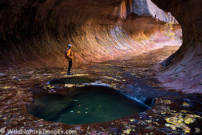 Taman Nasional Zion, Ngarai Cantik di Amerika
