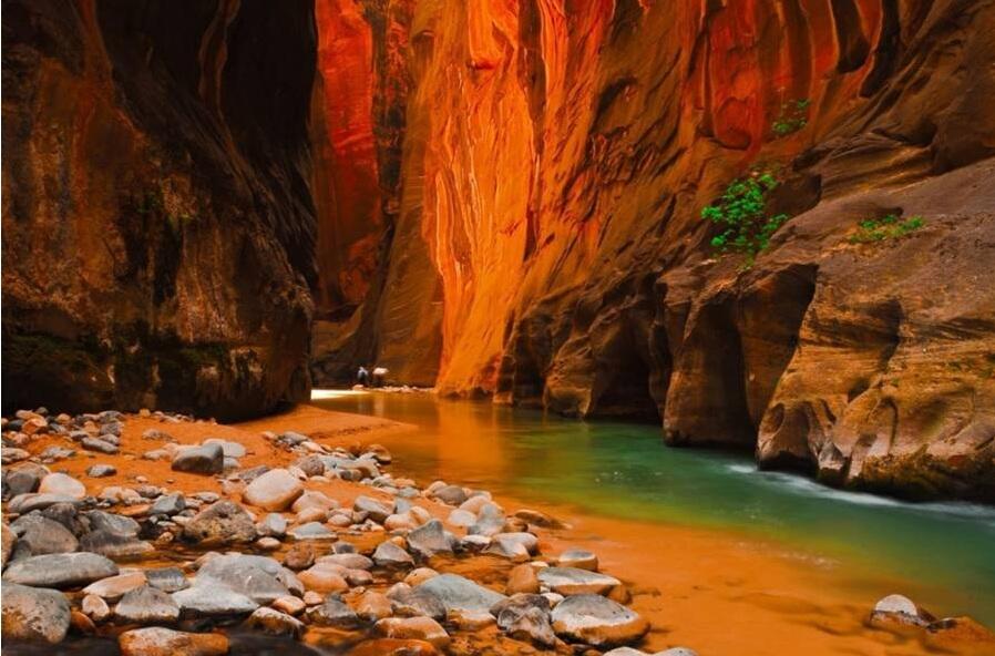 Taman Nasional Zion, Ngarai Cantik di Amerika
