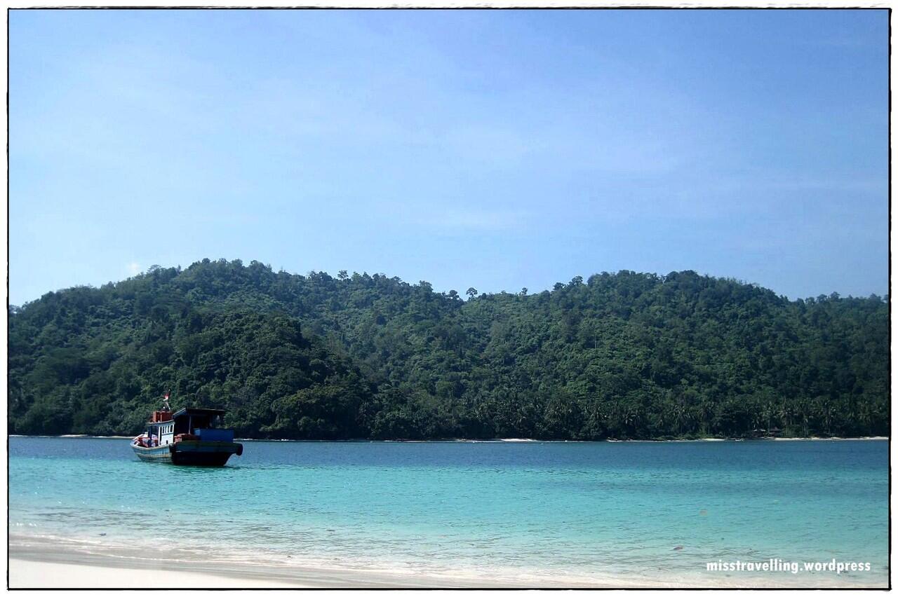 Wisata Dolphin, Teluk Kiluan Lampung