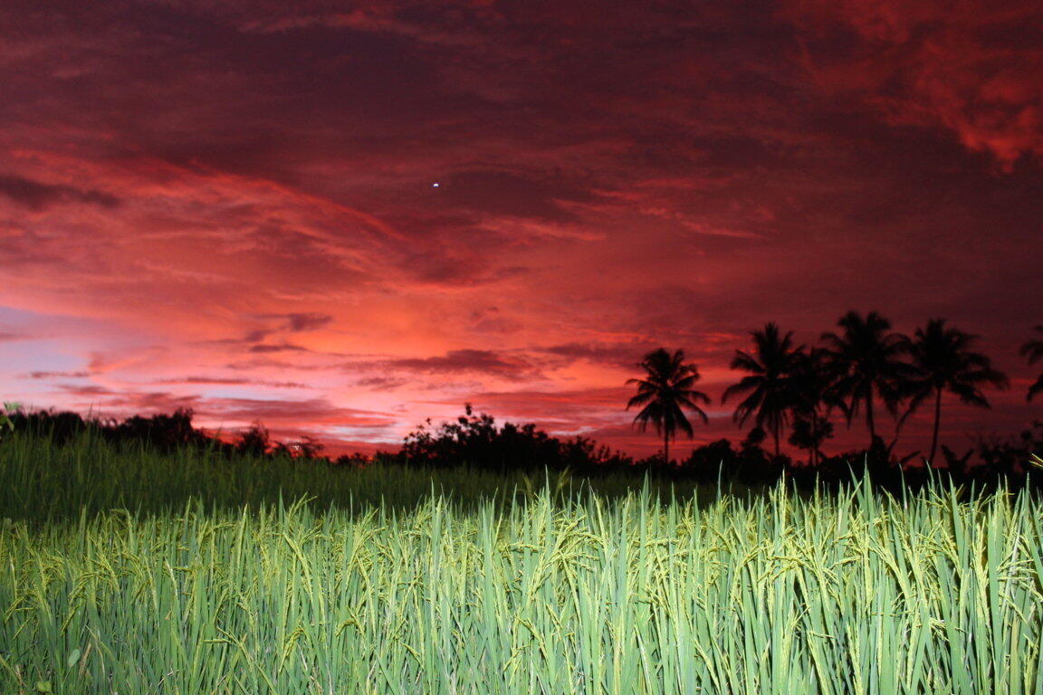 DESA WISATA - Desa Wisata Jelok - Patuk Gunungkidul