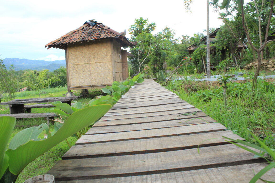 DESA WISATA - Desa Wisata Jelok - Patuk Gunungkidul