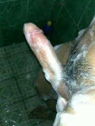 Gara2 ini jd....