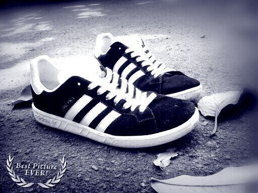 Mau SEPATU ORIGINAL GRATIS ? adidas Original SAMBA ? GRATIS ga pake BOONG buat KASKUS