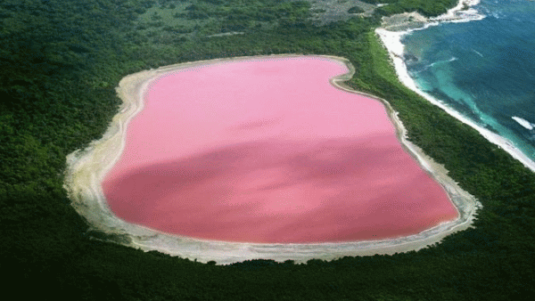 Wow,Ada Danau Pink di Australia