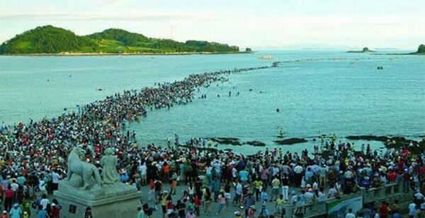 Fenomena Laut Terbelah di Korea Selatan