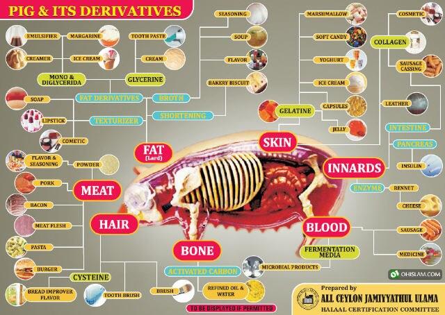 Pemanfaatan Kandungan Babi Yang Sering Digunakan Sebagai Bahan Produksi