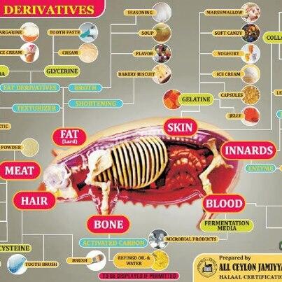 ▀▄▀ Istilah Makanan Yang Berkaitan Dengan Babi (buat muslim) ▀▄▀