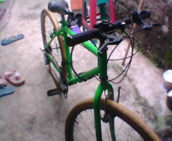 Jual Sepeda Standar Orang Dewasa