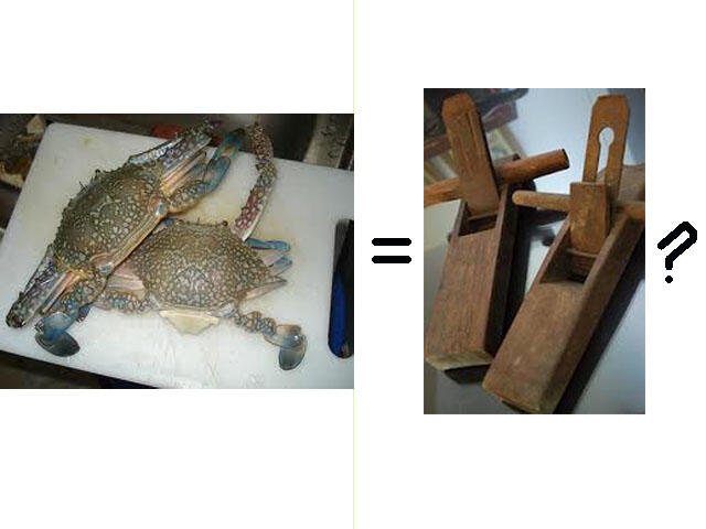 MAKANAN YANG SANGAT MENYERAMKAN DAN MENGERIKAN DARI INDONESIA