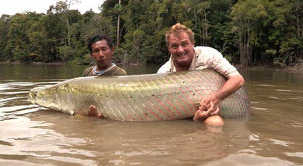 Ikan Terbesar & Terkuat di Dunia Berhasil Ditangkap