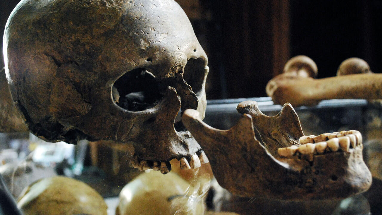 DoggerLand , Peradaban Eropa Yang Hilang