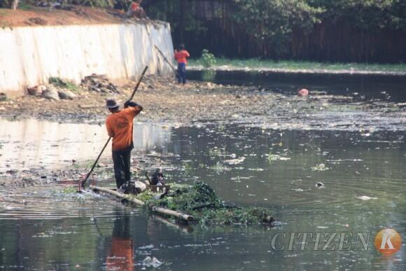 Pentingnya Ekosistem Sungai