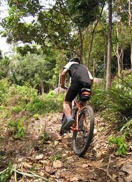 Penggemar Uphill Kumpul Disini