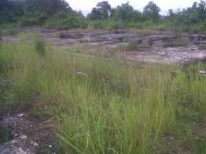 Mengenang PLTD Terbesar Di Asia Tenggara