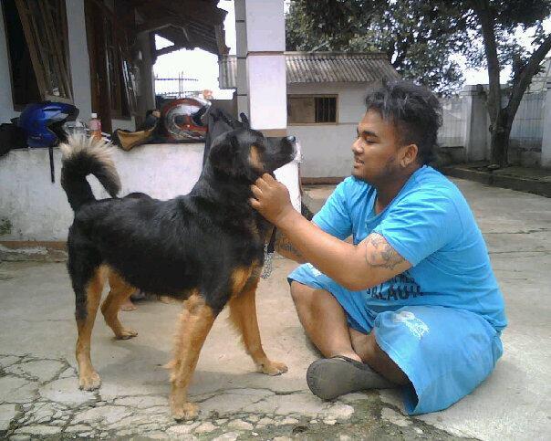 dog lovers bandung