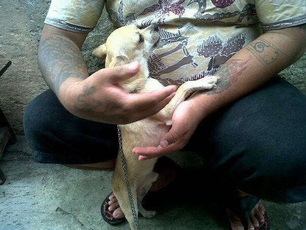 dog lovers bandung