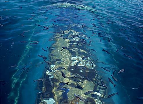 Restaurant Bawah Laut dengan pemandangan spektakuler