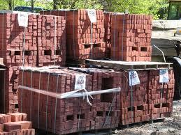 Bangkai 6000 babi di sungai Cina